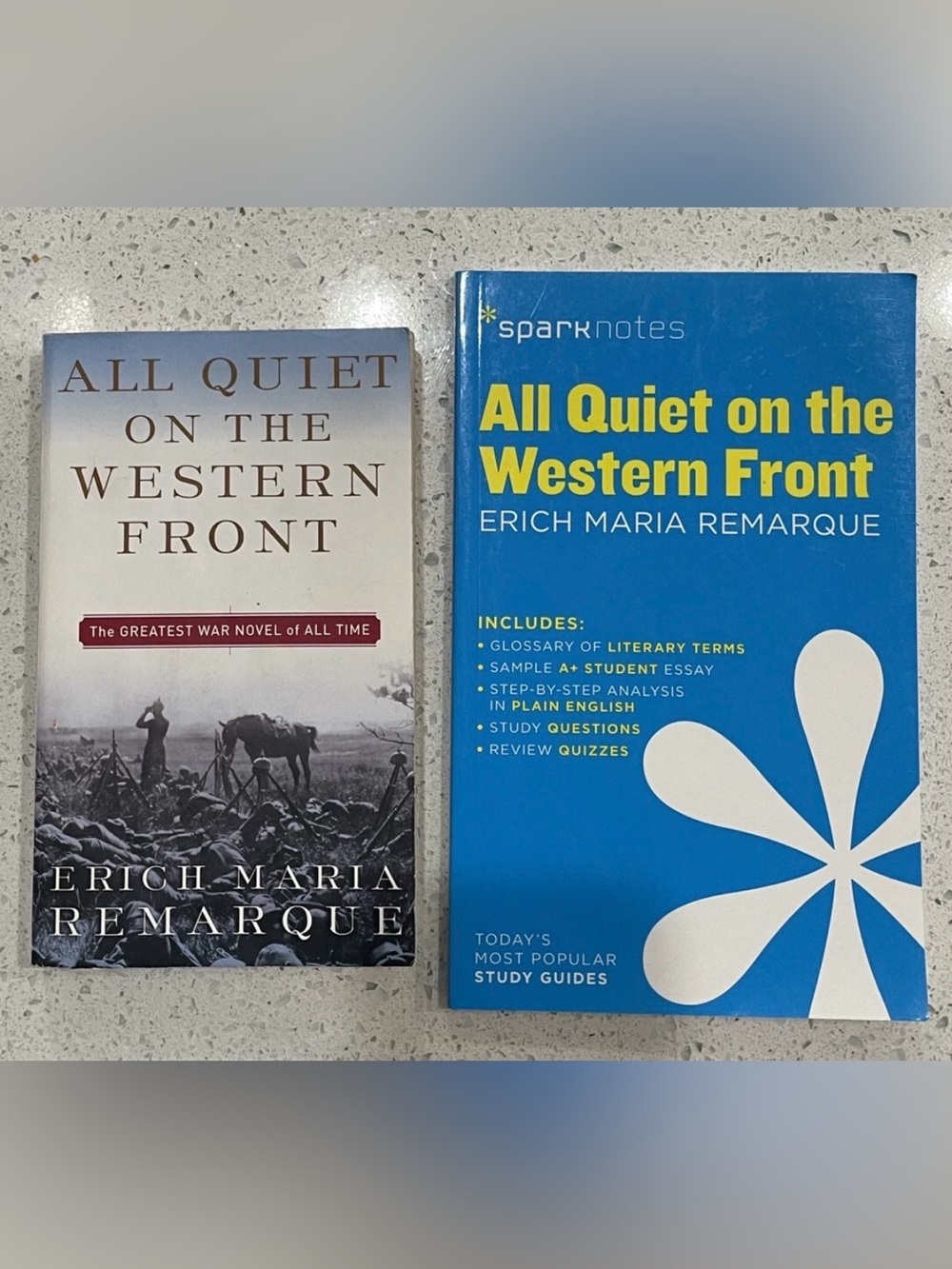 Spark Notes All Quiet on the Western Front & Paperback Book